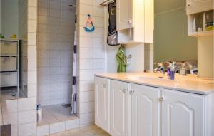 uma casa de banho com um lavatório e um chuveiro em Cozy Home In Ballangen With Wifi em Ballangen