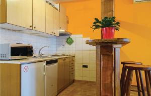 Kuchyň nebo kuchyňský kout v ubytování Stunning Apartment In Smarje With Wifi