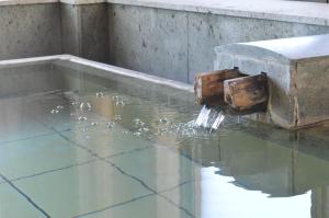a bird bath in a pool of water at Yumotoya in Matsumoto