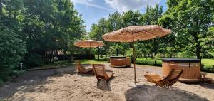 een groep stoelen en parasols in het zand bij Hotel Resort Landgoed Westerlee in Westerlee