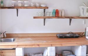 blat kuchenny ze zlewem i drewnianymi półkami w obiekcie 1 Bedroom Beautiful Home In Tomelilla w mieście Tomelilla