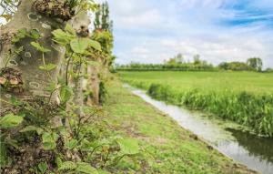 un camino de tierra junto a un campo y un río en Huis Nr 1, en Woubrugge