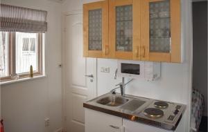 Kuchyň nebo kuchyňský kout v ubytování 1 Bedroom Stunning Home In Vrng