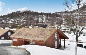 a barn with a grass roof in the snow at 3 Bedroom Beautiful Home In Rauland in Rauland