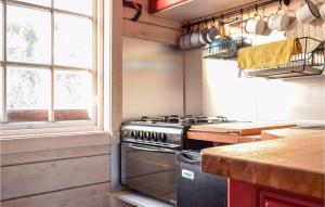 una cucina con piano cottura e finestra di 2 Bedroom Stunning Home In Kvinesdal a Kvinesdal
