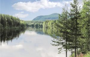 a view of a river with trees and a mountain at Beautiful Home In Hede With 3 Bedrooms And Sauna in Hedeviken