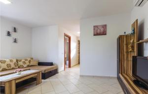 a living room with a couch and a tv at Nice Apartment In Orbanici With Wifi in Orbanići