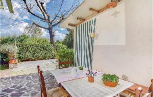 Vonkajšia záhrada v ubytovaní Pet Friendly Home In Camaiore -Lu-