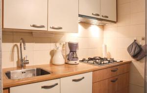 a kitchen with a sink and a blender on a counter at Nice Home In Bruinisse With 3 Bedrooms And Wifi in Bruinisse