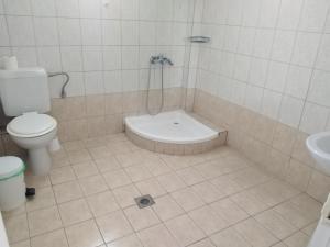 łazienka z prysznicem, toaletą i umywalką w obiekcie Estia Studios w mieście Kriopigi