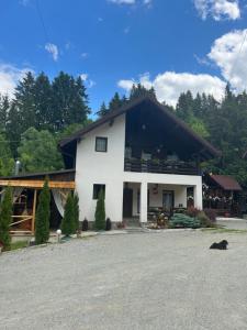 a white house with a black roof at Cabana Alexandra in Moisei