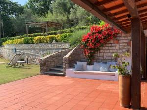 Zahrada ubytování Villa Pera