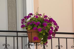 Gallery image of Andrianna Apartments in Ammoudia