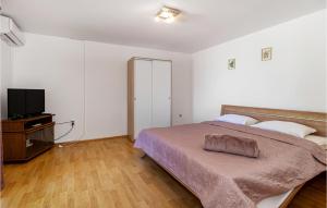 a bedroom with a large bed and a television at Gorgeous Apartment In Jadranovo With Wifi in Jadranovo