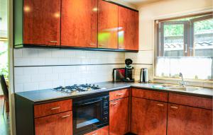 a kitchen with wooden cabinets and a stove top oven at Chalet 46 in Hattemerbroek