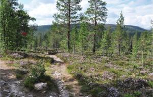 uma trilha de terra através de uma floresta com árvores em Gorgeous Home In Slen With Kitchen em Sälen
