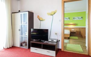 ein Wohnzimmer mit einem TV und einem Spiegel in der Unterkunft Amazing Apartment In Techelsberg Wrthersee With House Sea View in Sankt Martin am Techelsberg
