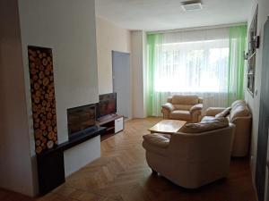 TV a/nebo společenská místnost v ubytování Apartmán XXL