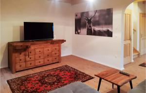 TV a/nebo společenská místnost v ubytování Ferienhaus Im Suedburgenland