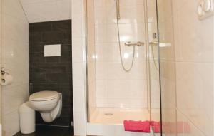 a bathroom with a shower and a toilet at Gorgeous Apartment In Molkwerum With House A Panoramic View in Molkwerum