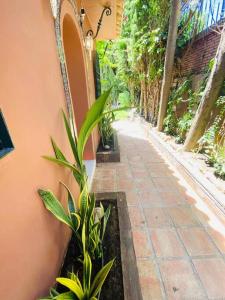 Zahrada ubytování Casa Geneviève Costa del Sol
