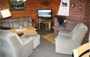 a living room with couches and a television and a fireplace at Pet Friendly Home In Oberaula-Hausen in Hausen