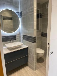 uma casa de banho com um lavatório, um WC e um espelho. em Les Berouds em Salaise-sur-Sanne