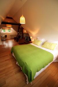 een slaapkamer met een groot bed en een groene deken bij Gite Le Rouvre in Cour-Cheverny