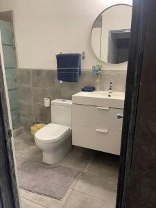 a bathroom with a toilet and a sink and a mirror at El Rincón Azul. Zona Dorada. in Tijuana