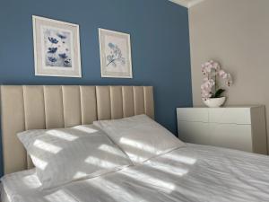 コウォブジェクにあるApartament Nawigatorの白いベッドと青い壁が備わるベッドルーム1室が備わります。
