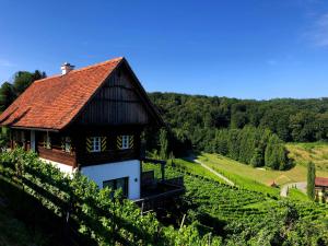 a barn in a vineyard next to a field of grapes at Appartement Georgiberg in Ehrenhausen