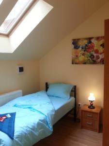 1 dormitorio con 2 camas y tragaluz en Center Park Apartment, en Cluj-Napoca