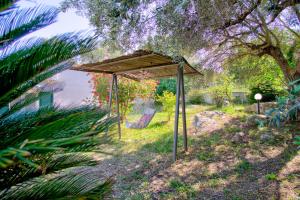 Vonkajšia záhrada v ubytovaní Kanakades Olive Cottage