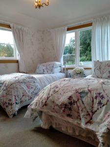 two beds in a room with two windows at Amberly House Rotorua in Rotorua