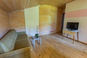 sala de estar con sofá y TV en Huberhof 10 by Alpenidyll Apartments, en Schladming
