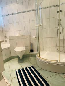 ein Bad mit einer Dusche, einem WC und einem Waschbecken in der Unterkunft City Müllers Apartment in Bremerhaven