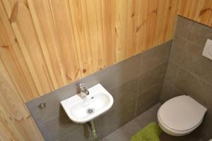 a bathroom with a sink and a toilet at Ferienhaus Obersäuling in Stummerberg