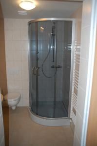 a glass shower in a bathroom with a toilet at CASILINO Hotel A 24 Wittenburg in Wittenburg