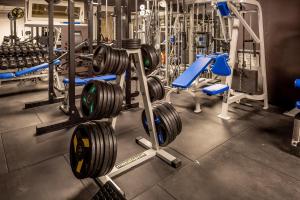 Fitness centrum a/nebo fitness zařízení v ubytování Relais Limonaia - Suites & Garden SPA