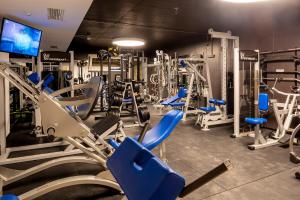 Fitness centrum a/nebo fitness zařízení v ubytování Relais Limonaia - Suites & Garden SPA