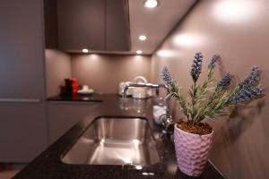 Kuchyň nebo kuchyňský kout v ubytování KoBi Apartments Falkenplatz + 37 fotografií