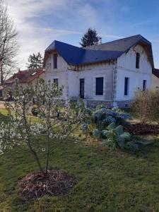 ein weißes Haus mit einem Baum davor in der Unterkunft Les Tilleuls - Villa année 30 in Sancergues