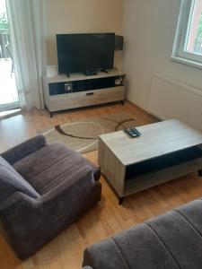 a living room with a couch and a tv at Teja-seosko turističko domaćinstvo in Arandelovac