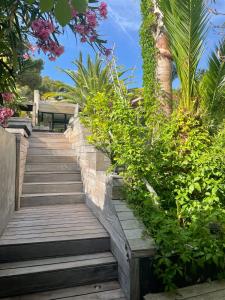 a wooden stairway with plants and a palm tree at Villa Bali in Cassis