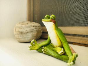 a frog sitting on a counter next to a bowl at casa Namaste in Porto Columbu - Perdʼe Sali
