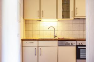 A kitchen or kitchenette at Ferienparadies Sabina Latsche