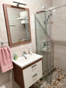 uma casa de banho com um lavatório e um chuveiro em Apartman Jelena em Trebinje