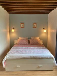 1 dormitorio con 1 cama grande y 2 almohadas en Chez Daniel, en Vauclaix