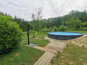 una piscina in mezzo a un cortile di Wooden Cabin Zurej with Hot Tub a Bukovje v Babni Gori