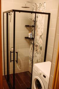 um chuveiro na casa de banho com uma máquina de lavar roupa em 2 bedroom central flat em Jelgava